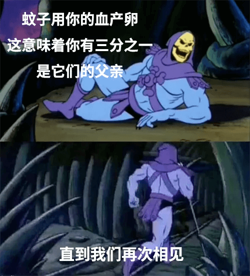 蚊子用你的血产卵，这意味着你有三分之一是它们的父亲，直到我们