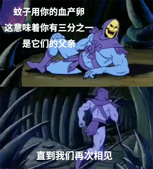 蚊子用你的血产卵,这意味着你有三分之一是它们的父亲,直到我们