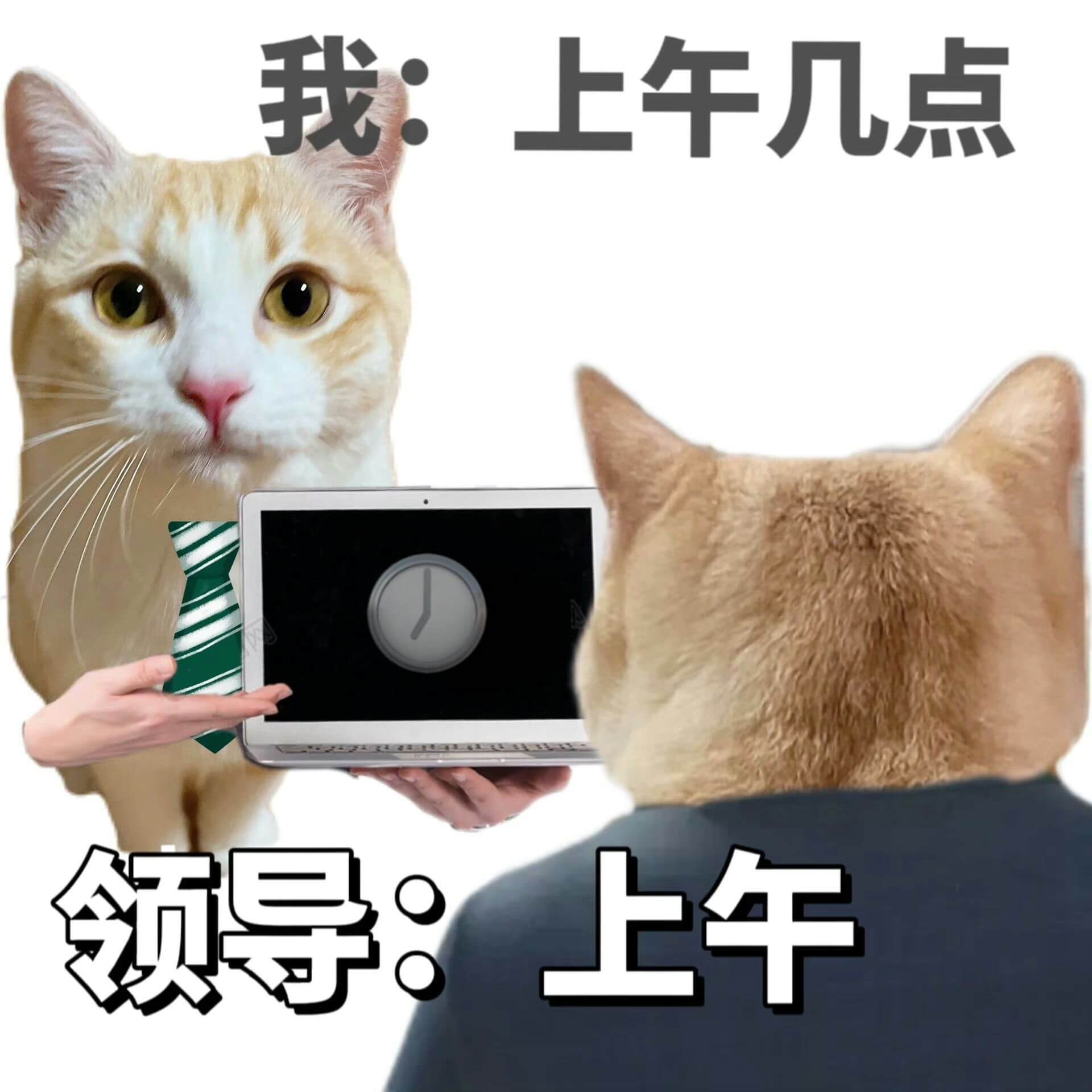 我：上午几点？领导：上午