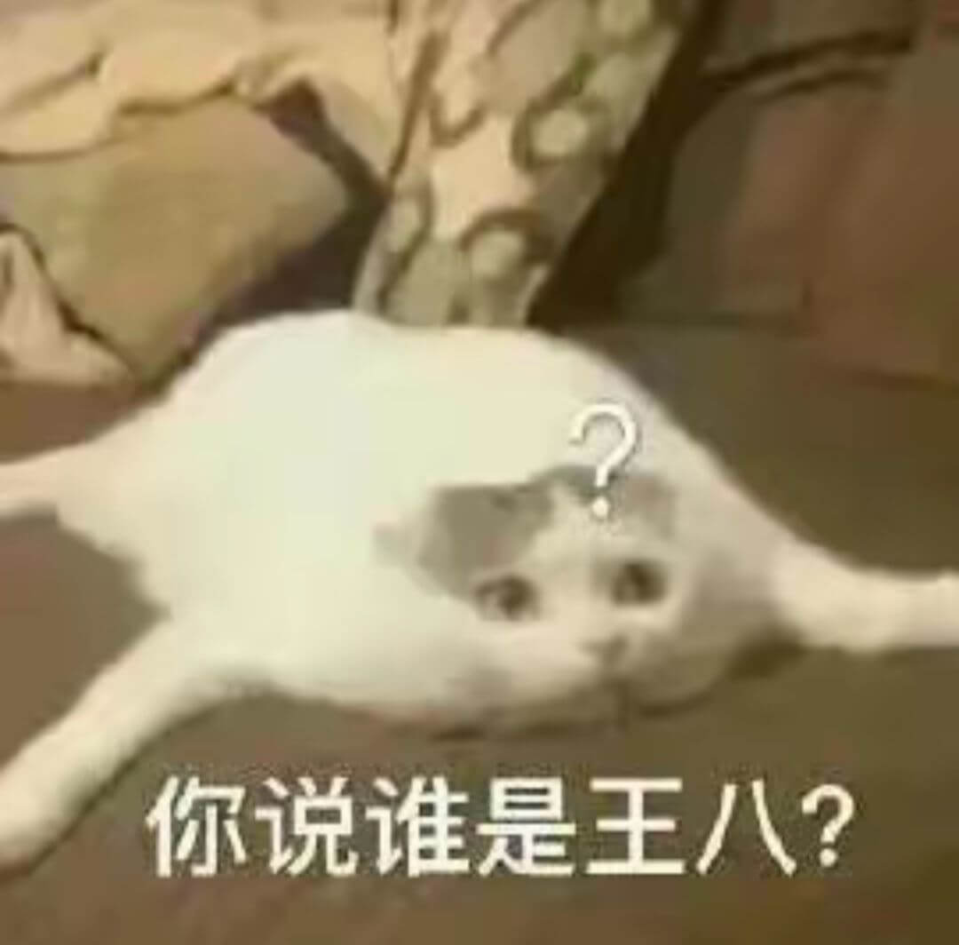 你说谁是王八？