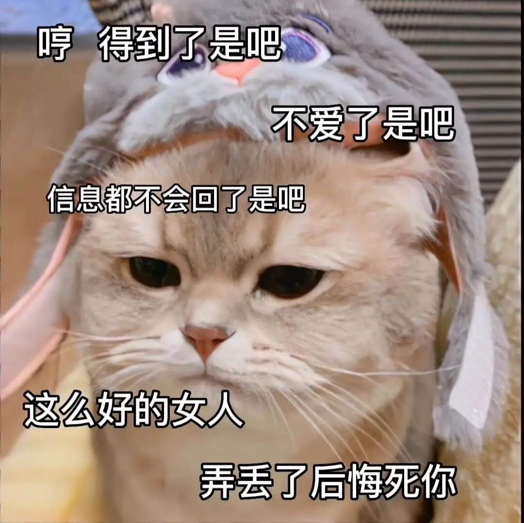 哼得到了是吧不爱了是吧信息都不会回了是吧这么好的女人弄丢了后