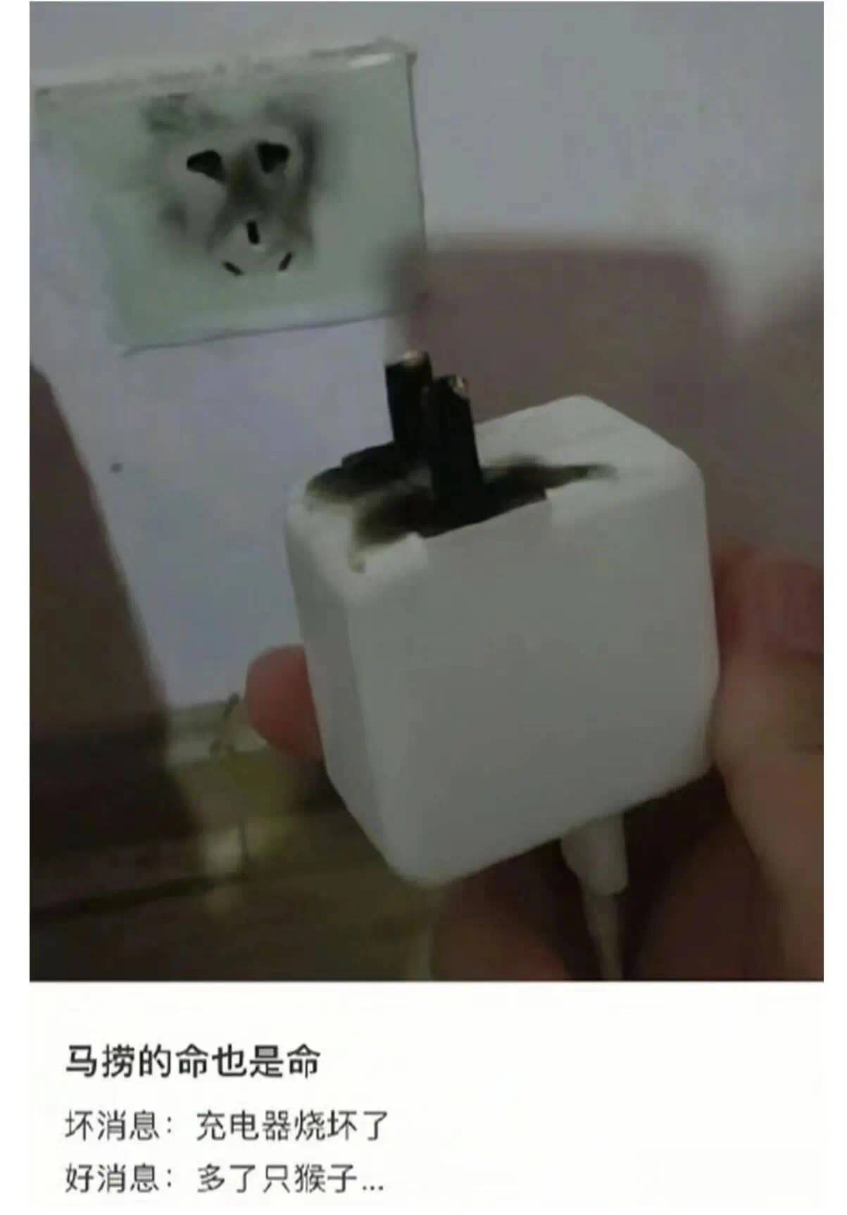 马捞的命也是命坏消息：充电器烧坏了好消息：多了只猴子..
