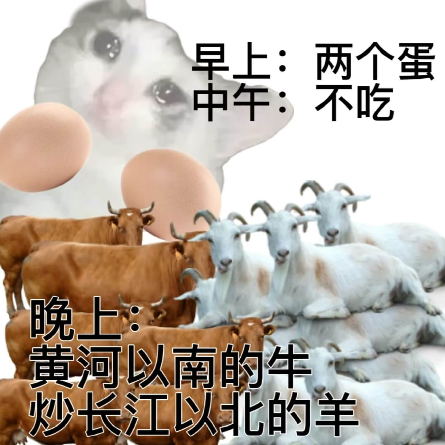 早上：两个蛋中午：不吃晚上：黄河以南的牛炒长江以北的羊