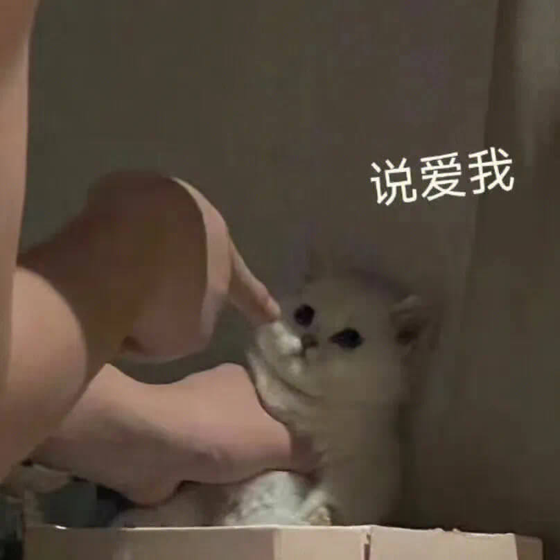 说爱我