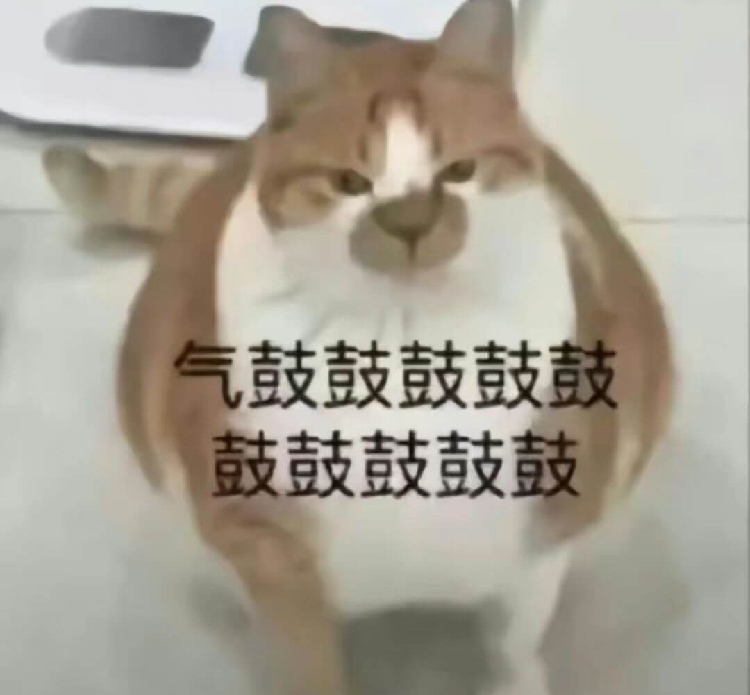 气鼓鼓鼓鼓鼓鼓鼓鼓鼓鼓
