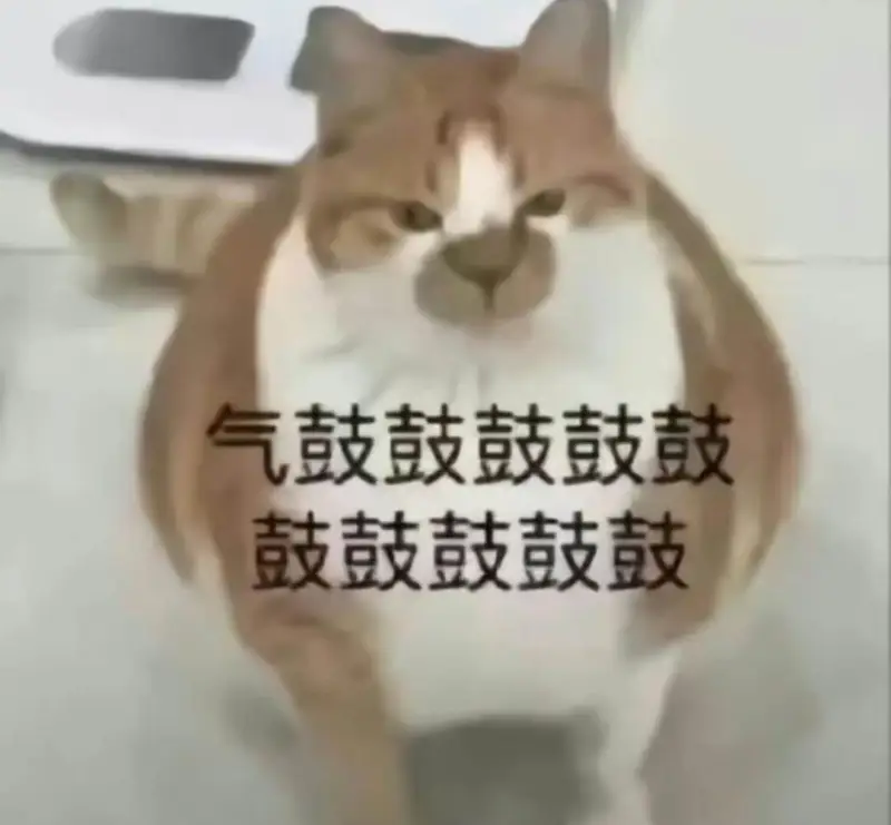 气鼓鼓鼓鼓鼓鼓鼓鼓鼓鼓