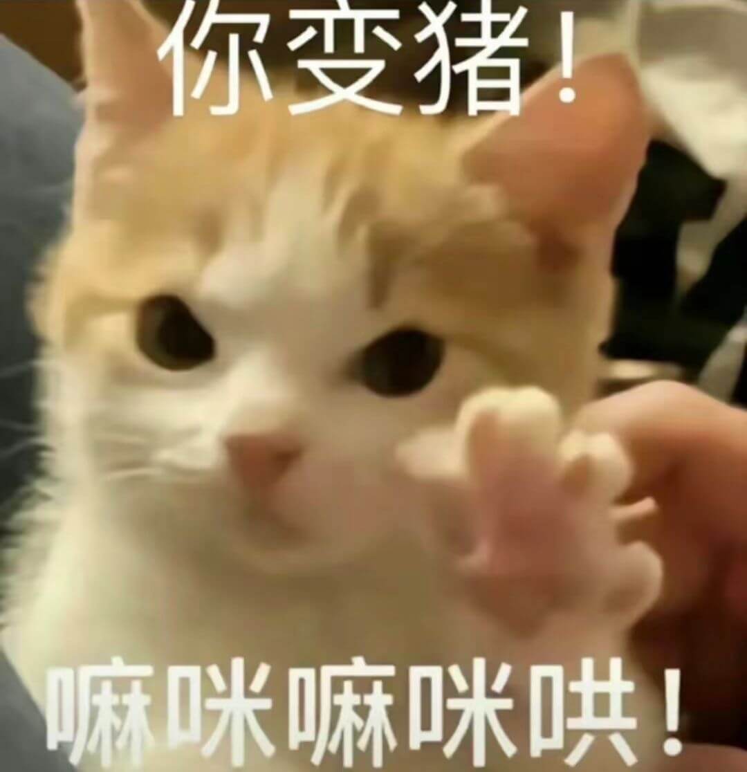 你变猪！嘛咪嘛咪哄！