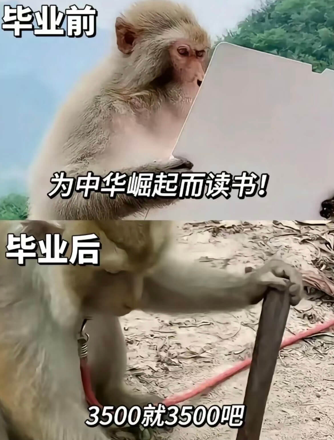 毕业前为中华崛起而读书！毕业后3500就3500吧。