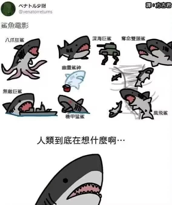 人十儿少刷晨方吉君@venatonetuns鲨鱼電影八瓜狂熊