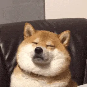 是小甜狗，不是小舔狗