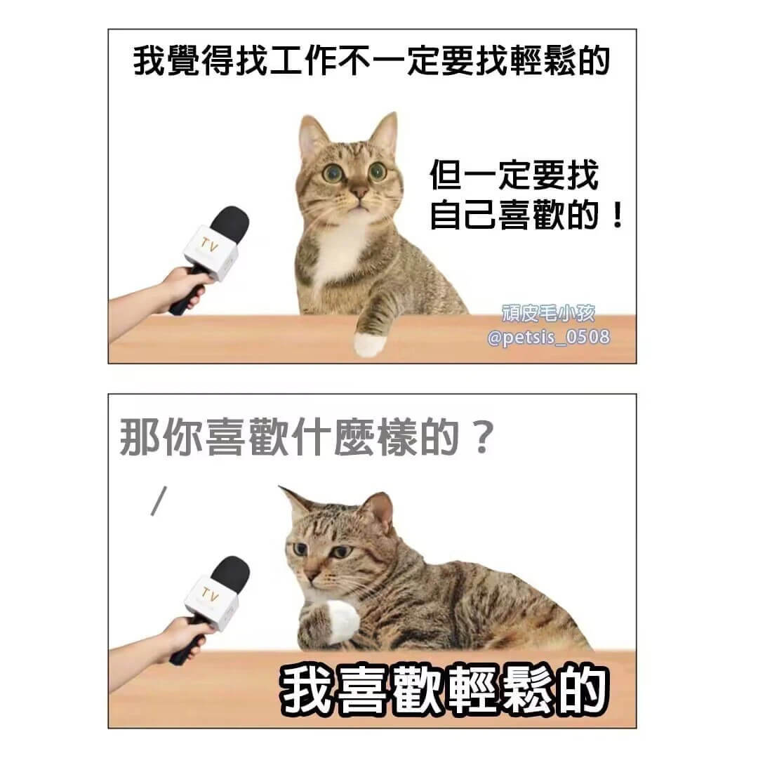 我得找工作不一定要找輕的但一定要找自己喜歡的！頂皮毛小孩@p