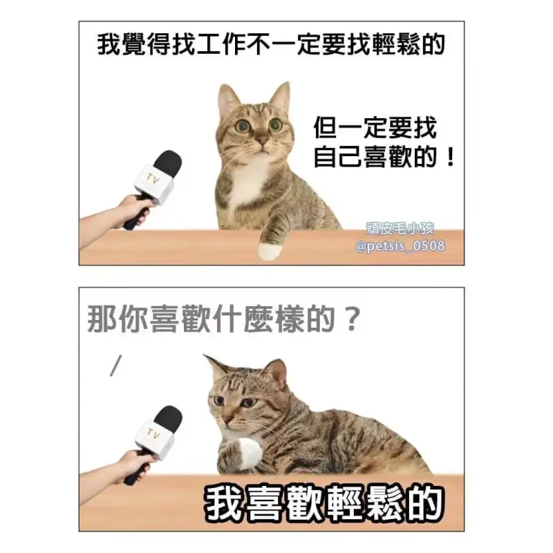 我得找工作不一定要找輕的但一定要找自己喜歡的！頂皮毛小孩@p