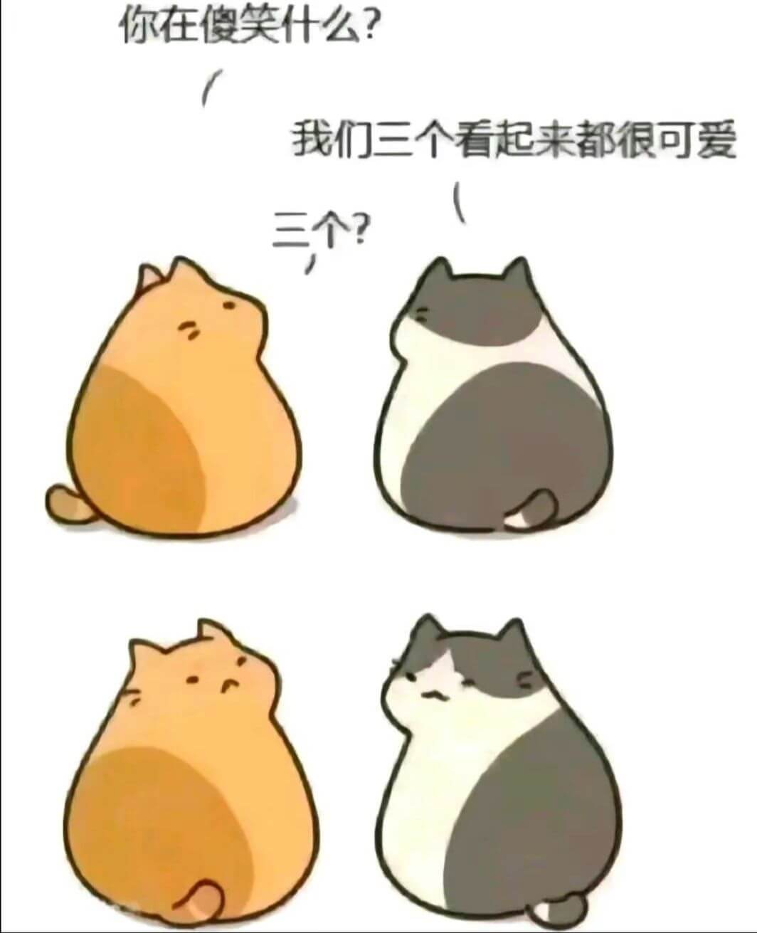 你在傻笑什么？我们三个看起来都很可爱三个?