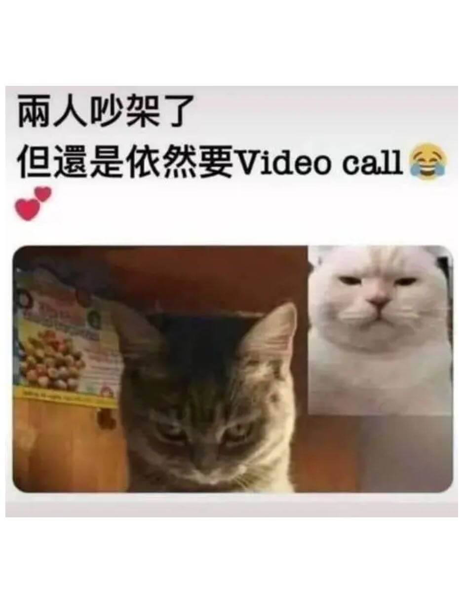 雨人吵架了，但是依然要Videocall。