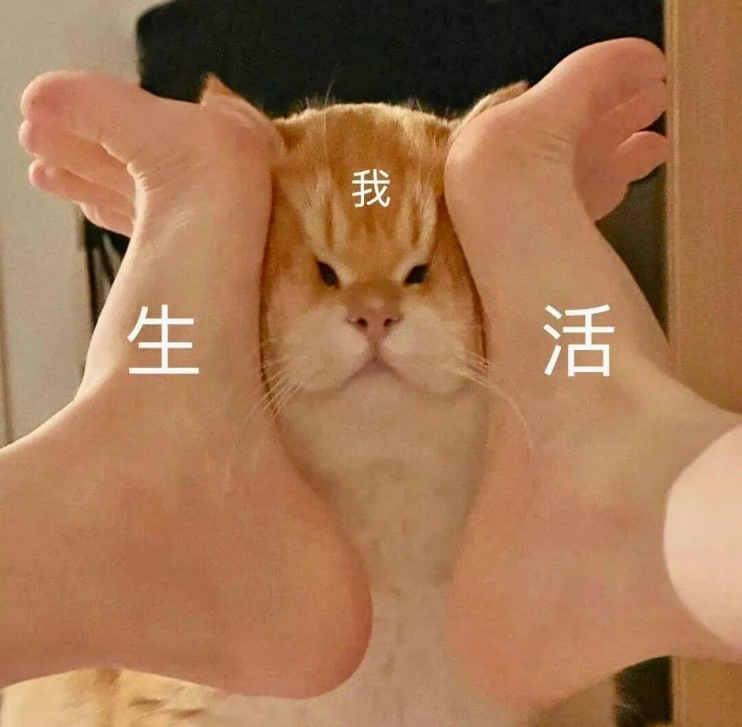 我生活