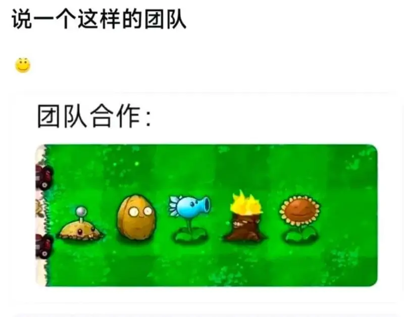 说一个这样的团队团队合作：