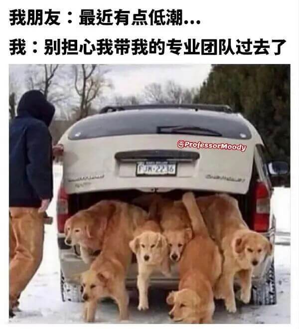 我朋友：最近有点低潮我：别担心我带我的专业团队过去了@Pro