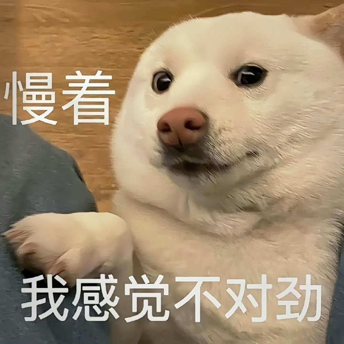 慢着我感觉不对劲