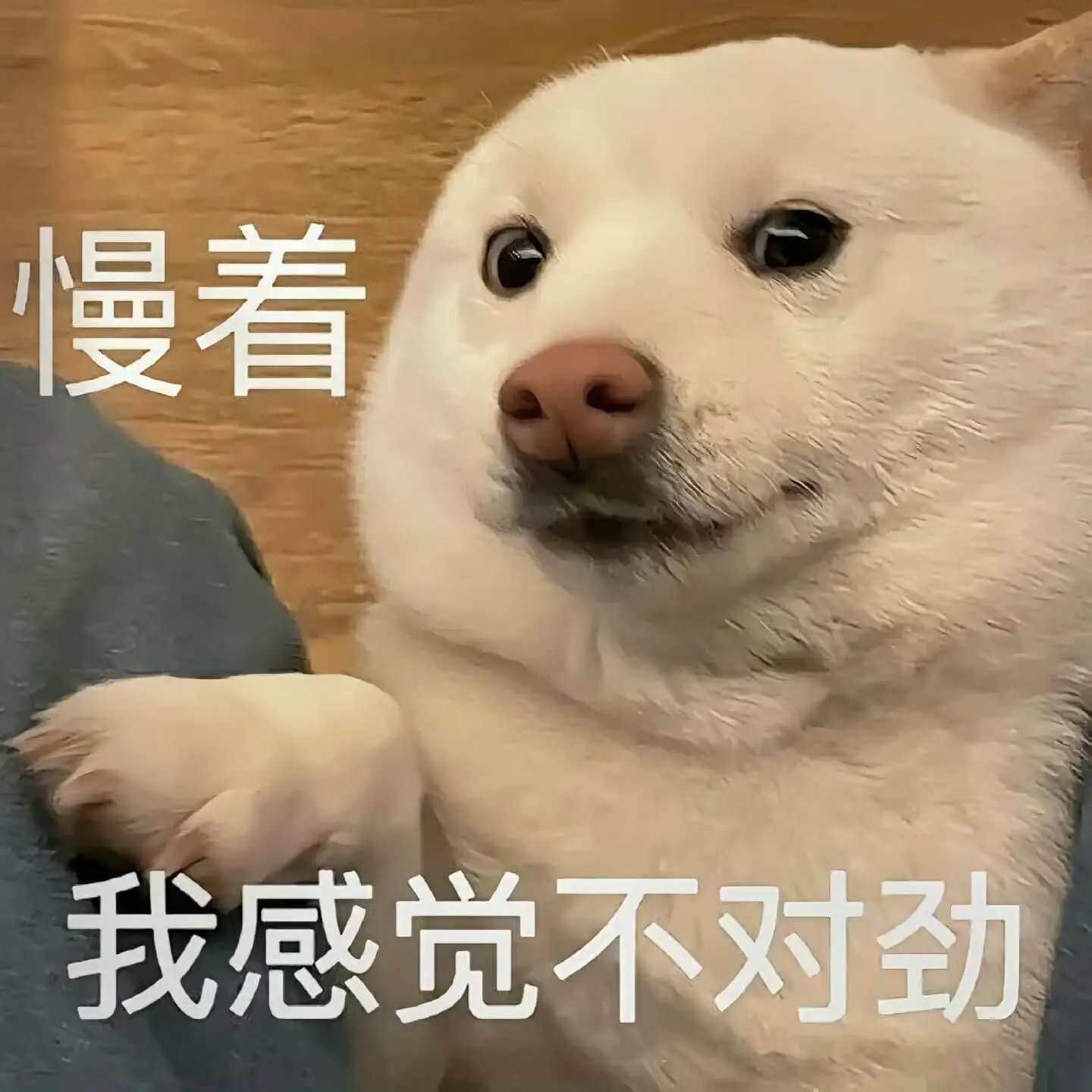 慢着我感觉不对劲