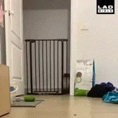 ↑