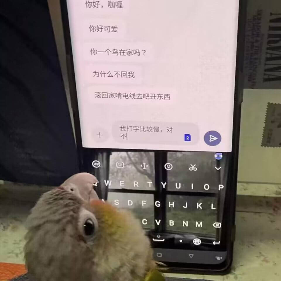 你好，咖喱你好可爱你一个鸟在家吗？为什么不回我滚回家啃电线去