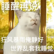 送大家一波网上搜刮的猫猫表情包