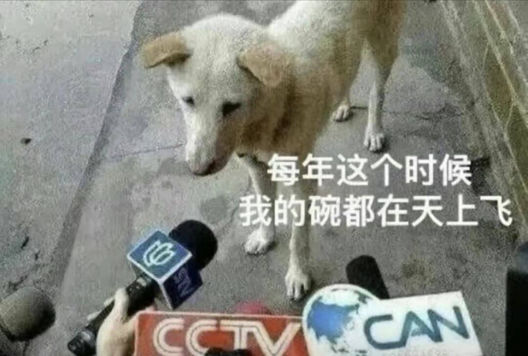 每年这个时候我的碗都在天上飞