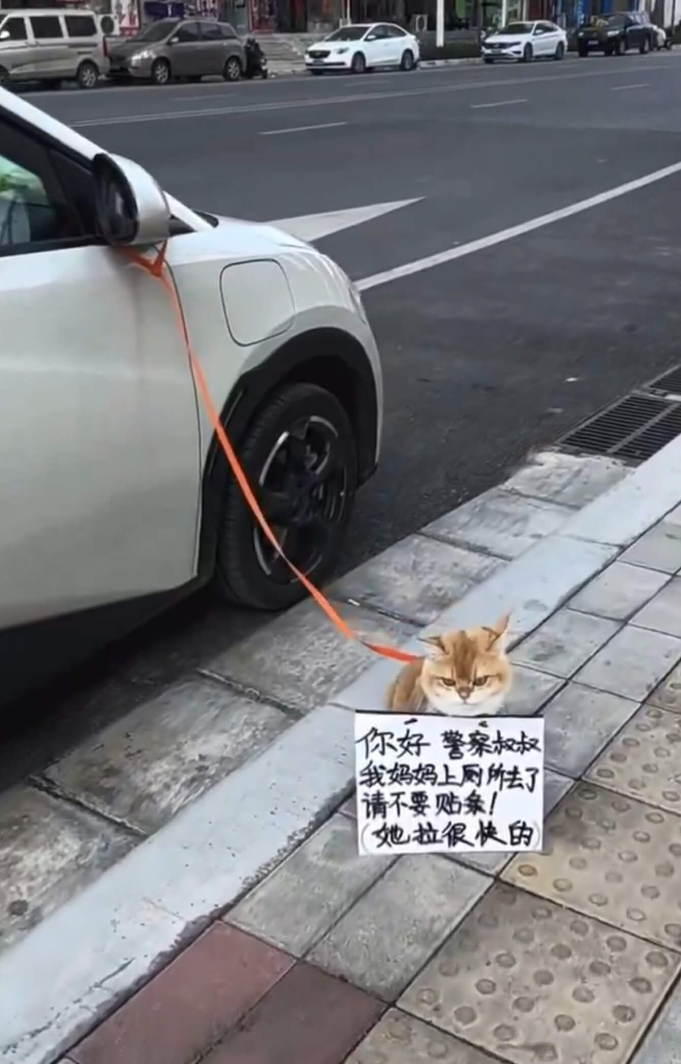 你好馨案叔叔我妈妈上网所去了请不要贴条！她拉很快的
