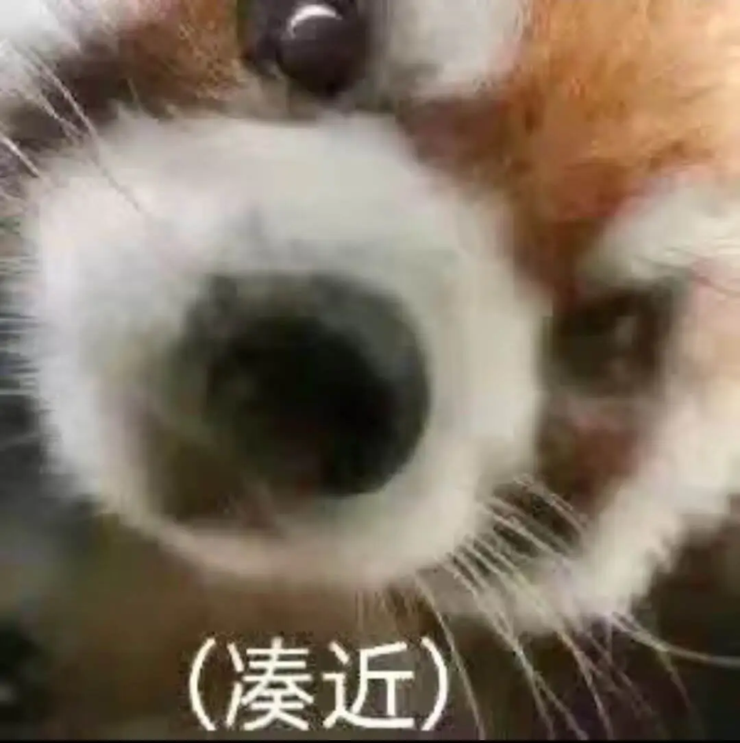 （凑近）