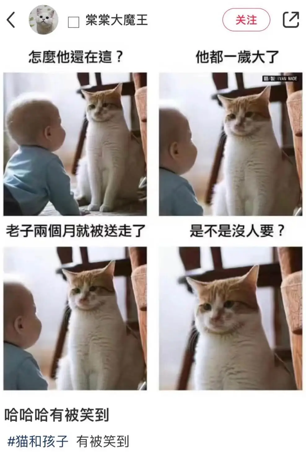 棠棠大魔王关注怎鹰他遗在這？他都一大了LI/N：IVANMA