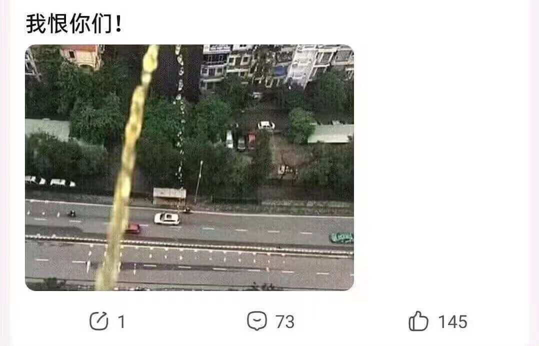 我恨你们！73145