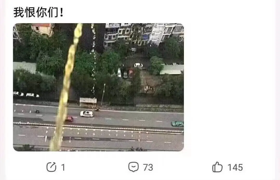 我恨你们！73145