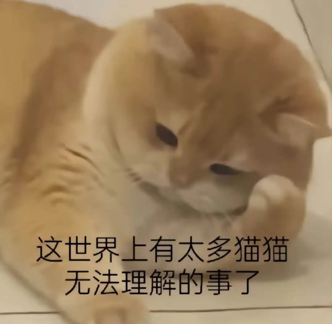 这世界上有太多猫猫无法理解的事了