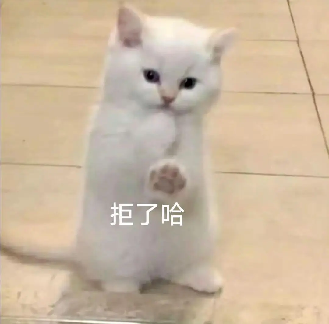 拒了哈