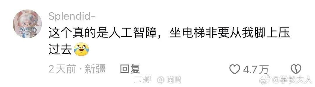 Splendid-这个真的是人工智障，坐电梯非要从我脚上压过