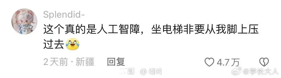 Splendid-这个真的是人工智障,坐电梯非要从我脚上压过