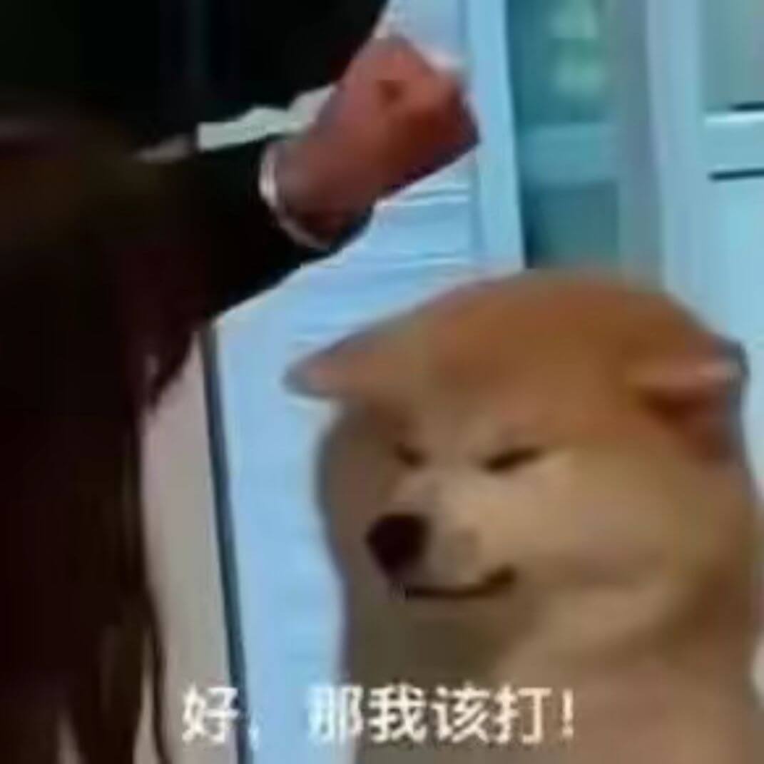 好，那我该打！