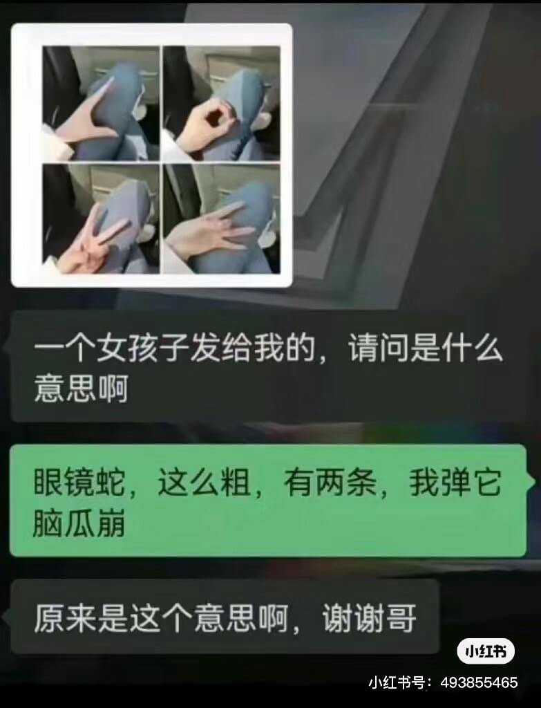 一个女孩子发给我的，请问是什么意思啊眼镜蛇，这么粗，有两条，