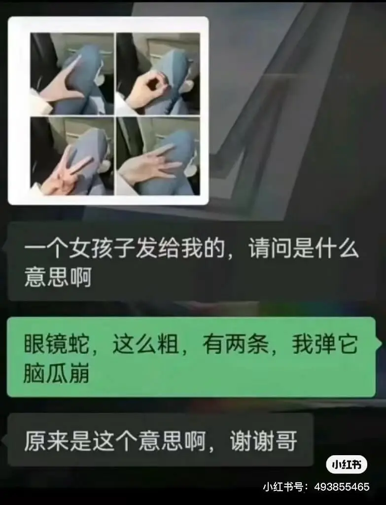 一个女孩子发给我的，请问是什么意思啊眼镜蛇，这么粗，有两条，