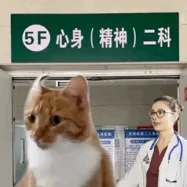 送大家一波网上搜刮的猫猫表情包