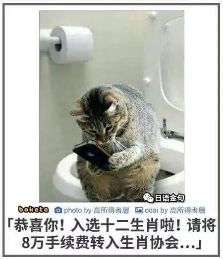 日语金句bokctophotoby高所得者居国odaiby高