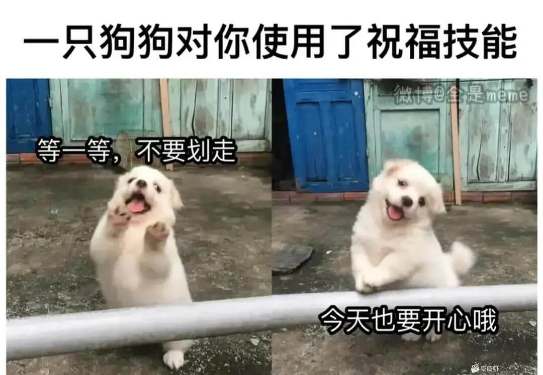 一只狗狗对你使用了祝福技能微博?金是meme等一等，不要划走