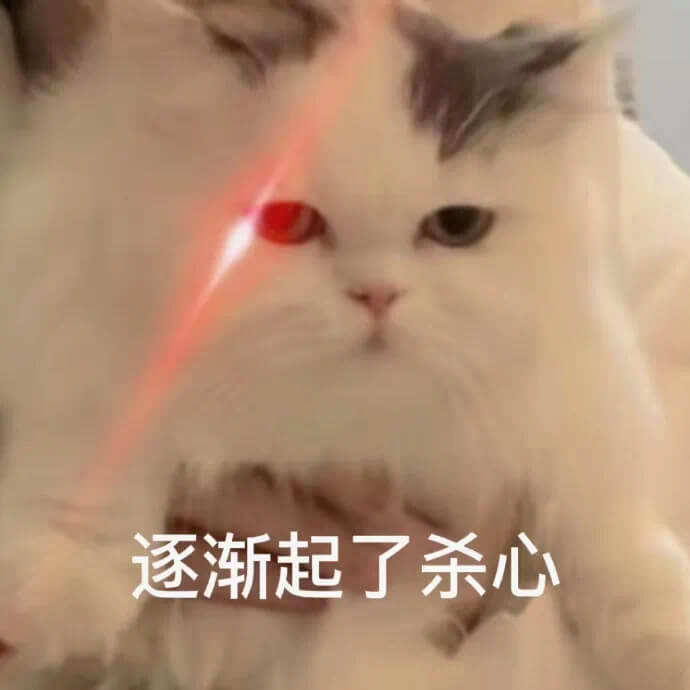 逐渐起了杀心