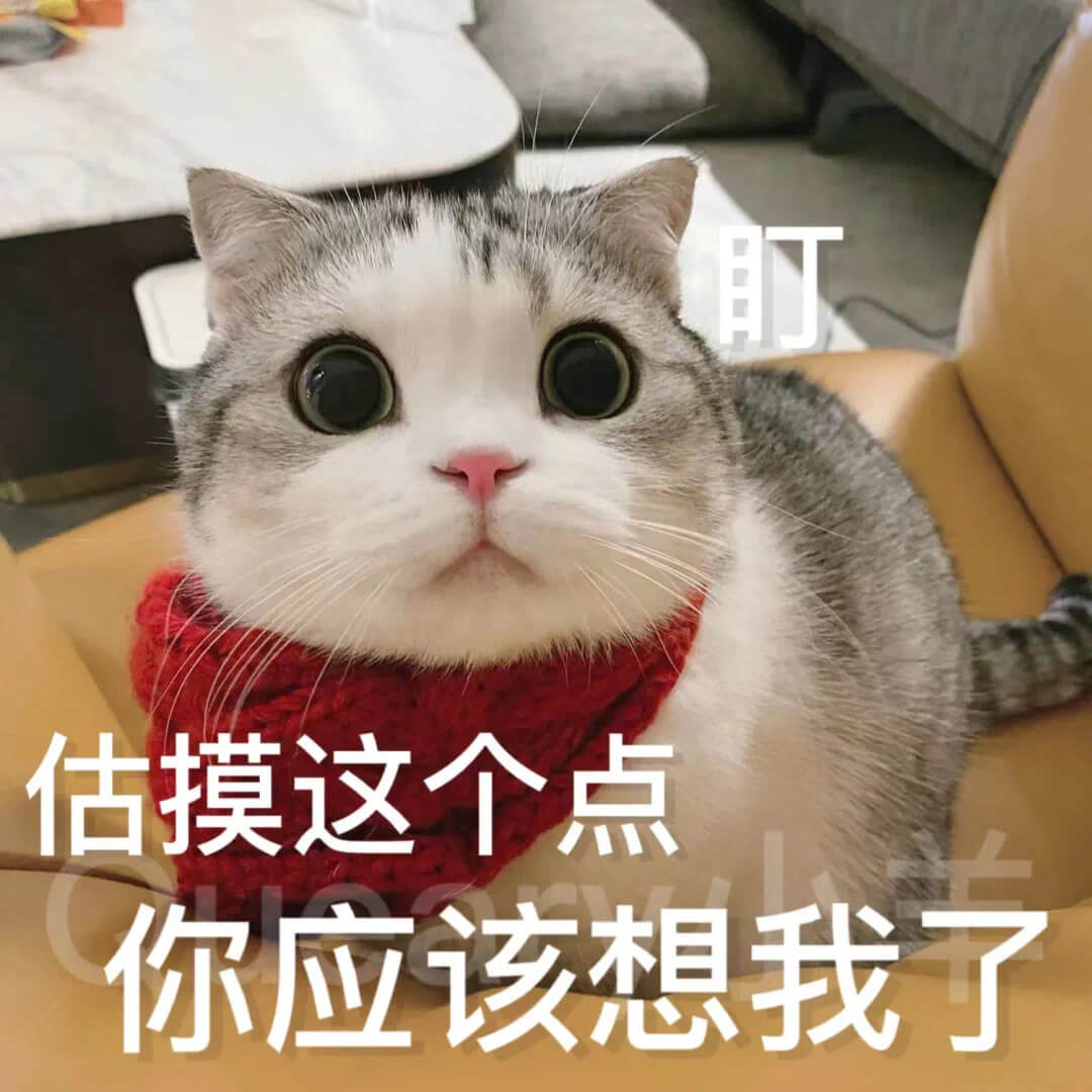 时估摸这个点你应该想我了