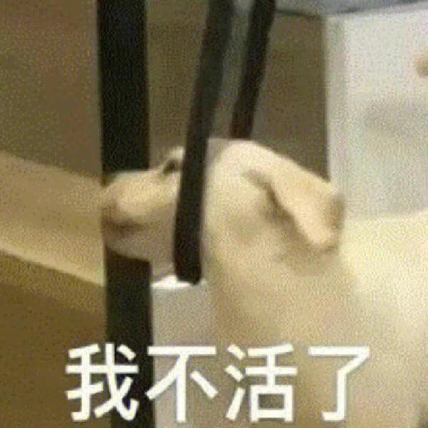 我不活了