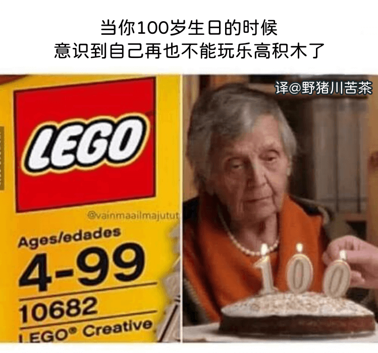 当你100岁生日的时候，意识到自己再也不能玩乐高积木了。译@