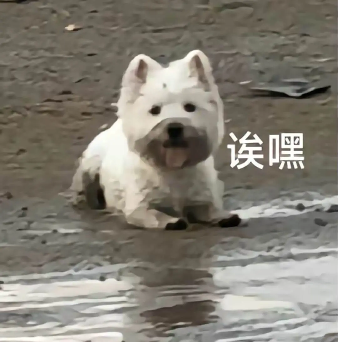 嘿