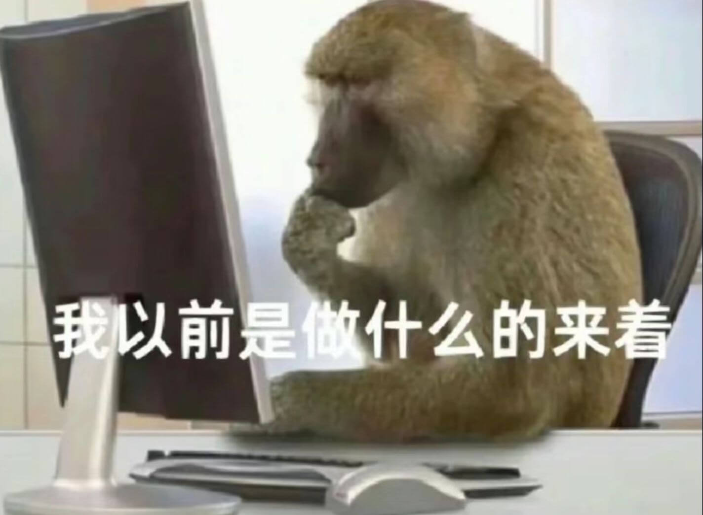 我以前是做什么的来着