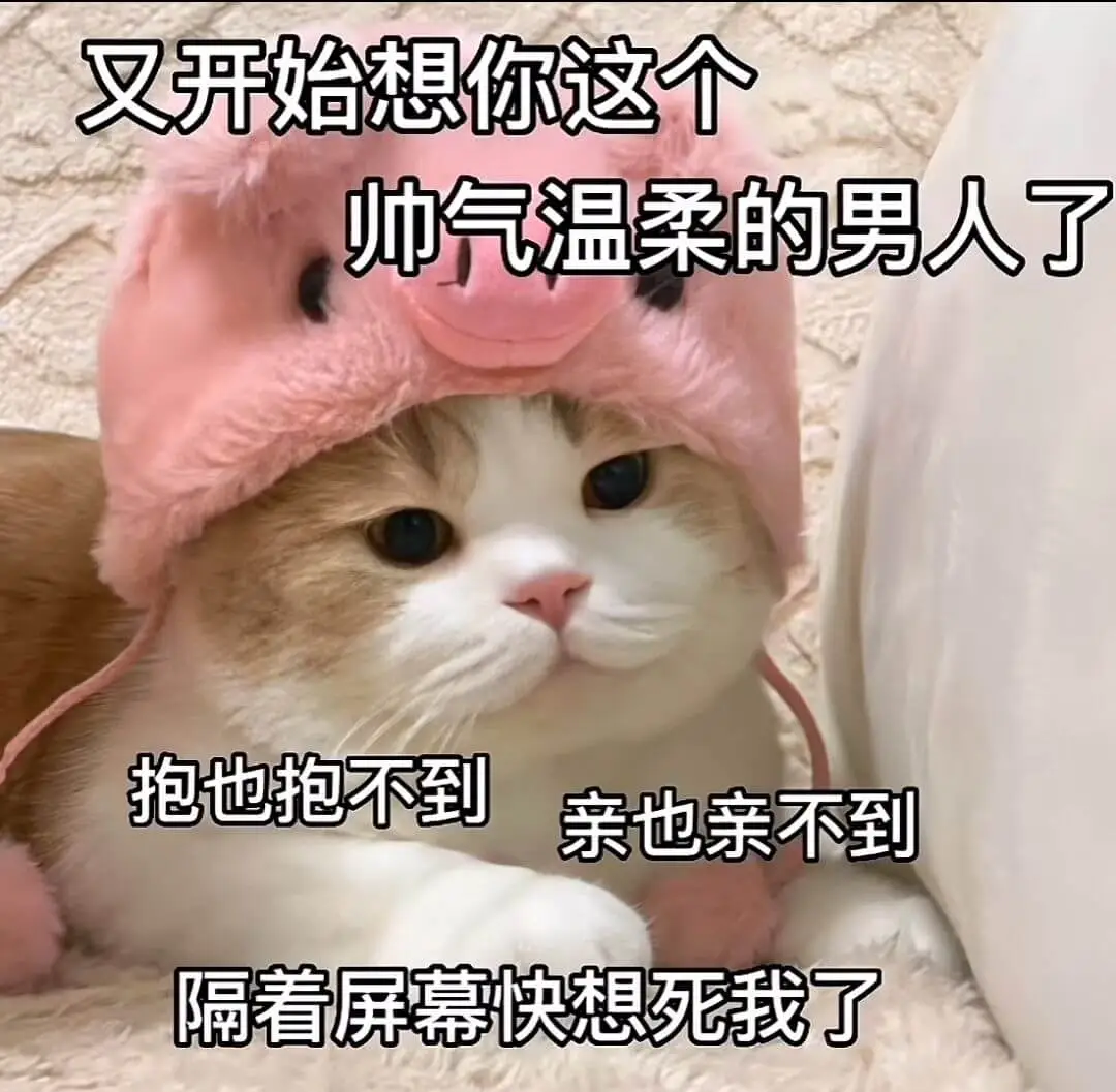 又开始想你这个帅气温柔的男人了抱也抱不到亲也亲不到隔看屏幕快