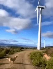 大小风车